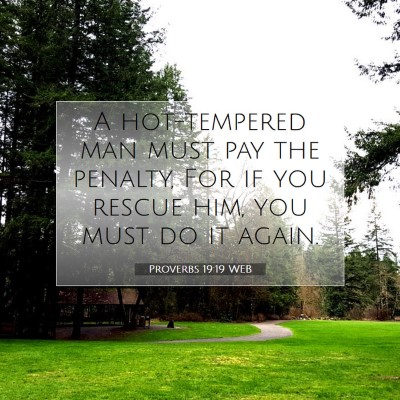 Picture 07 - Proverbs 19:19 WEB - A hot-tempered man must pay the penalty, For if - Bible Verse Picture