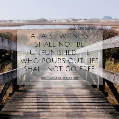 Picture 07 - Proverbs 19:5 WEB - A false witness shall not be unpunished. He who - Bible Verse Picture
