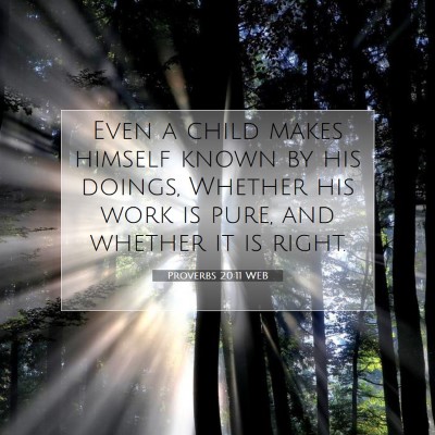 Picture 07 - Proverbs 20:11 WEB - Even a child makes himself known by his doings, - Bible Verse Picture