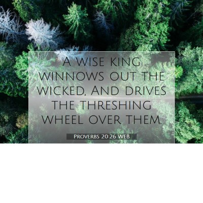 Picture 07 - Proverbs 20:26 WEB - A wise king winnows out the wicked, And drives - Bible Verse Picture
