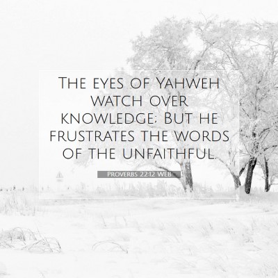 Picture 07 - Proverbs 22:12 WEB - The eyes of Yahweh watch over knowledge; But he - Bible Verse Picture