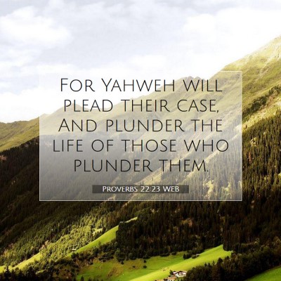 Picture 07 - Proverbs 22:23 WEB - For Yahweh will plead their case, And plunder the - Bible Verse Picture