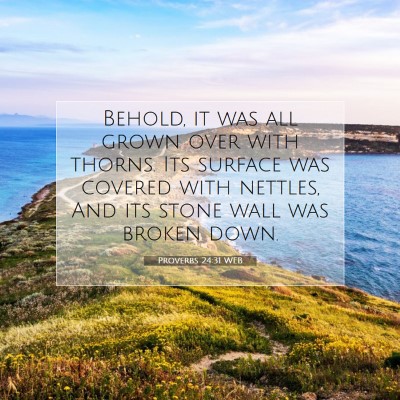 Picture 07 - Proverbs 24:31 WEB - Behold, it was all grown over with thorns. Its - Bible Verse Picture