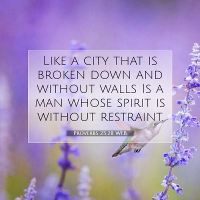 Picture 07 - Proverbs 25:28 WEB - Like a city that is broken down and without walls - Bible Verse Picture