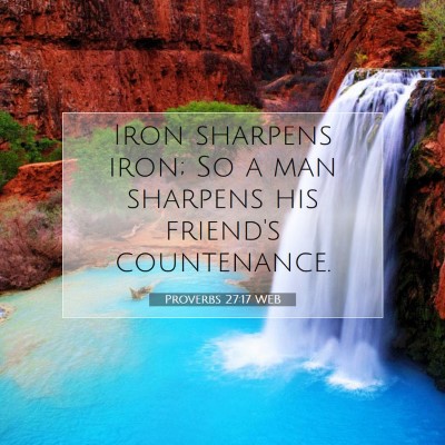 Picture 07 - Proverbs 27:17 WEB - Iron sharpens iron; So a man sharpens his - Bible Verse Picture