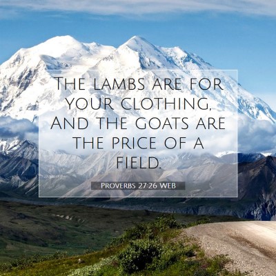Picture 07 - Proverbs 27:26 WEB - The lambs are for your clothing, And the goats - Bible Verse Picture