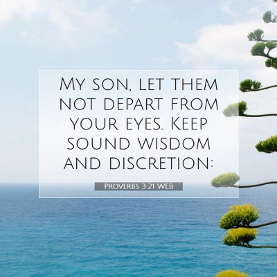 Picture 07 - Proverbs 3:21 WEB - My son, let them not depart from your eyes. Keep - Bible Verse Picture