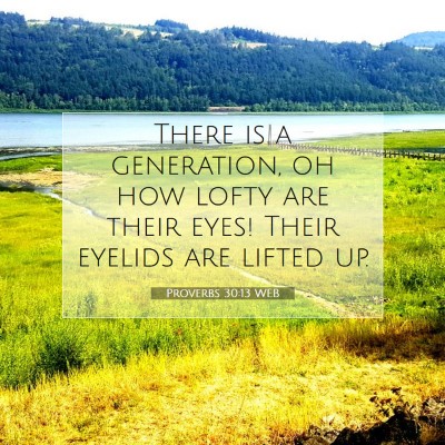 Picture 07 - Proverbs 30:13 WEB - There is a generation, oh how lofty are their - Bible Verse Picture