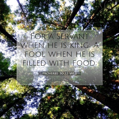 Picture 07 - Proverbs 30:22 WEB - For a servant when he is king; A fool when he is - Bible Verse Picture
