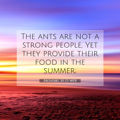 Picture 07 - Proverbs 30:25 WEB - The ants are not a strong people, Yet they - Bible Verse Picture