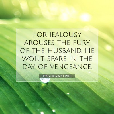 Picture 07 - Proverbs 6:34 WEB - For jealousy arouses the fury of the husband. He - Bible Verse Picture