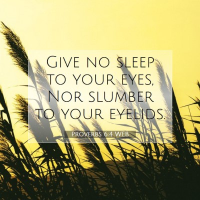 Picture 07 - Proverbs 6:4 WEB - Give no sleep to your eyes, Nor slumber to your - Bible Verse Picture