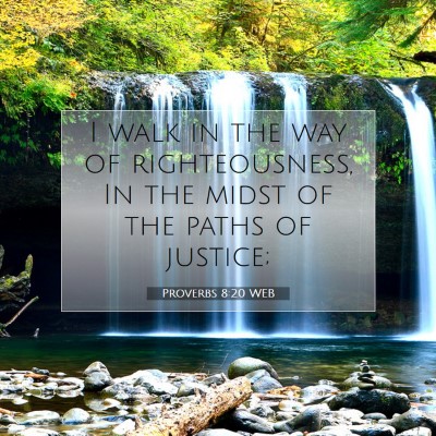 Picture 07 - Proverbs 8:20 WEB - I walk in the way of righteousness, In the midst - Bible Verse Picture