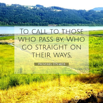 Picture 07 - Proverbs 9:15 WEB - To call to those who pass by, Who go straight on - Bible Verse Picture