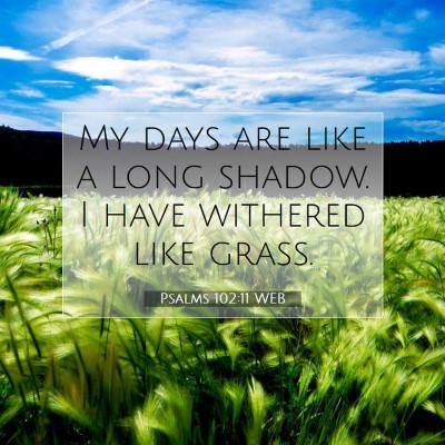 Picture 07 - Psalms 102:11 WEB - My days are like a long shadow. I have withered - Bible Verse Picture