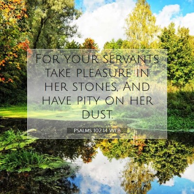 Picture 07 - Psalms 102:14 WEB - For your servants take pleasure in her stones, - Bible Verse Picture