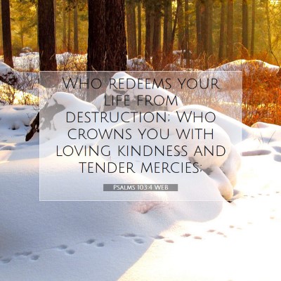Picture 07 - Psalms 103:4 WEB - Who redeems your life from destruction; Who - Bible Verse Picture