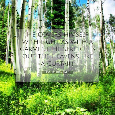 Picture 07 - Psalms 104:2 WEB - He covers himself with light as with a garment. - Bible Verse Picture