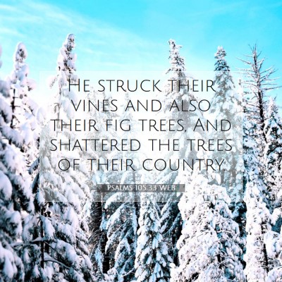 Picture 07 - Psalms 105:33 WEB - He struck their vines and also their fig trees, - Bible Verse Picture