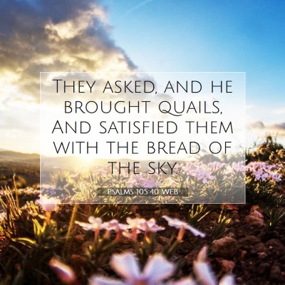 Picture 07 - Psalms 105:40 WEB - They asked, and he brought quails, And satisfied - Bible Verse Picture