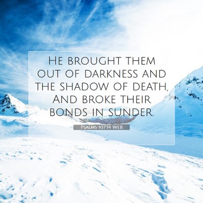 Picture 07 - Psalms 107:14 WEB - He brought them out of darkness and the shadow of - Bible Verse Picture