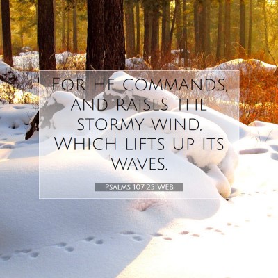 Picture 07 - Psalms 107:25 WEB - For he commands, and raises the stormy wind, - Bible Verse Picture