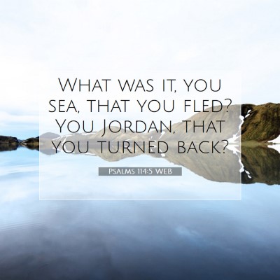 Picture 07 - Psalms 114:5 WEB - What was it, you sea, that you fled? You Jordan, - Bible Verse Picture