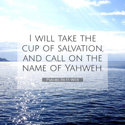 Picture 07 - Psalms 116:13 WEB - I will take the cup of salvation, and call on the - Bible Verse Picture