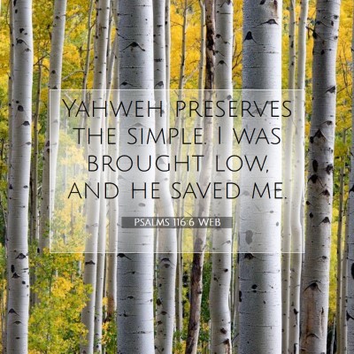 Picture 07 - Psalms 116:6 WEB - Yahweh preserves the simple. I was brought low, - Bible Verse Picture