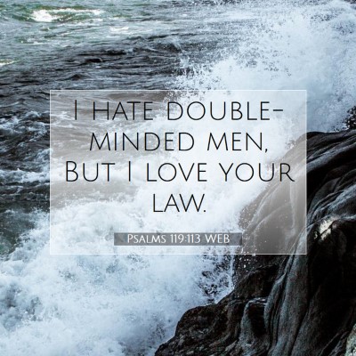 Picture 07 - Psalms 119:113 WEB - I hate double-minded men, But I love your - Bible Verse Picture