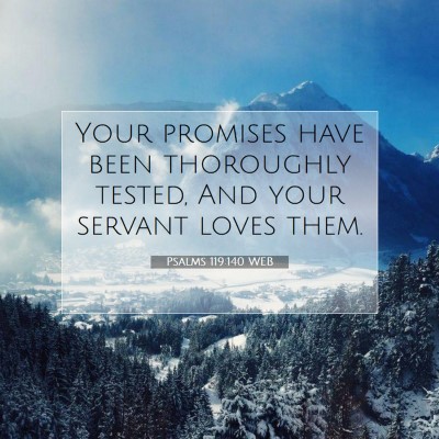 Picture 07 - Psalms 119:140 WEB - Your promises have been thoroughly tested, And - Bible Verse Picture