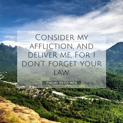 Picture 07 - Psalms 119:153 WEB - Consider my affliction, and deliver me, For I - Bible Verse Picture