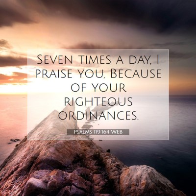 Picture 07 - Psalms 119:164 WEB - Seven times a day, I praise you, Because of your - Bible Verse Picture