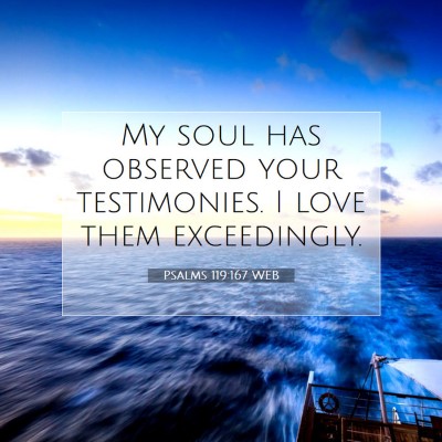 Picture 07 - Psalms 119:167 WEB - My soul has observed your testimonies. I love - Bible Verse Picture