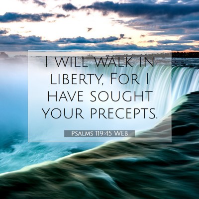 Picture 07 - Psalms 119:45 WEB - I will walk in liberty, For I have sought your - Bible Verse Picture