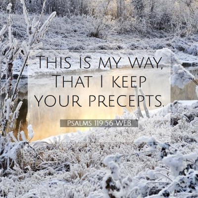 Picture 07 - Psalms 119:56 WEB - This is my way, That I keep your - Bible Verse Picture