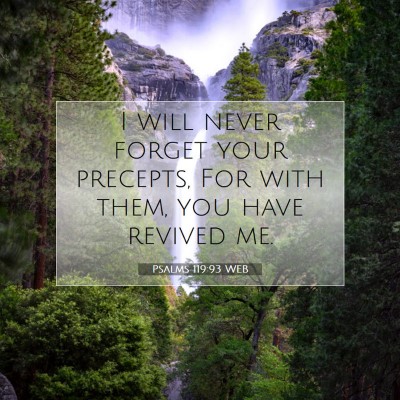 Picture 07 - Psalms 119:93 WEB - I will never forget your precepts, For with them, - Bible Verse Picture