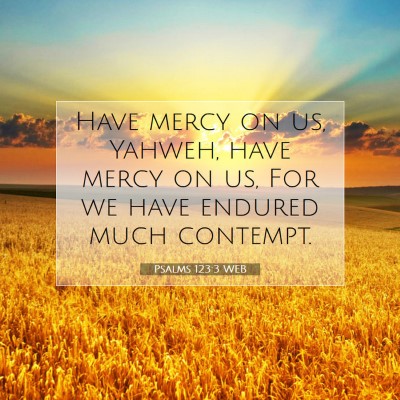 Picture 07 - Psalms 123:3 WEB - Have mercy on us, Yahweh, have mercy on us, For - Bible Verse Picture