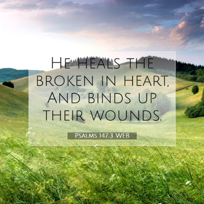 Picture 07 - Psalms 147:3 WEB - He heals the broken in heart, And binds up their - Bible Verse Picture