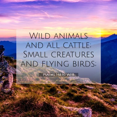 Picture 07 - Psalms 148:10 WEB - Wild animals and all cattle; Small creatures and - Bible Verse Picture