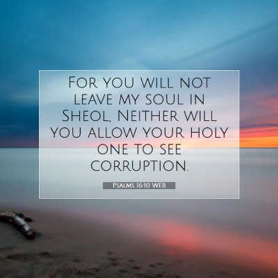 Picture 07 - Psalms 16:10 WEB - For you will not leave my soul in Sheol, Neither - Bible Verse Picture