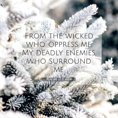 Picture 07 - Psalms 17:9 WEB - From the wicked who oppress me, My deadly - Bible Verse Picture
