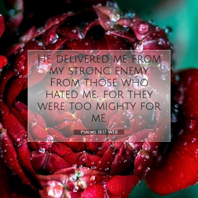 Picture 07 - Psalms 18:17 WEB - He delivered me from my strong enemy, From those - Bible Verse Picture
