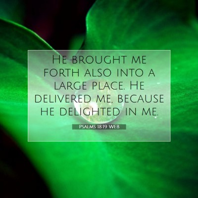 Picture 07 - Psalms 18:19 WEB - He brought me forth also into a large place. He - Bible Verse Picture
