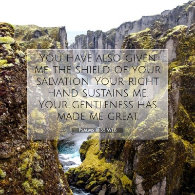 Picture 07 - Psalms 18:35 WEB - You have also given me the shield of your - Bible Verse Picture