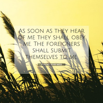 Picture 07 - Psalms 18:44 WEB - As soon as they hear of me they shall obey me. - Bible Verse Picture