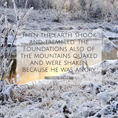 Picture 07 - Psalms 18:7 WEB - Then the earth shook and trembled. The - Bible Verse Picture