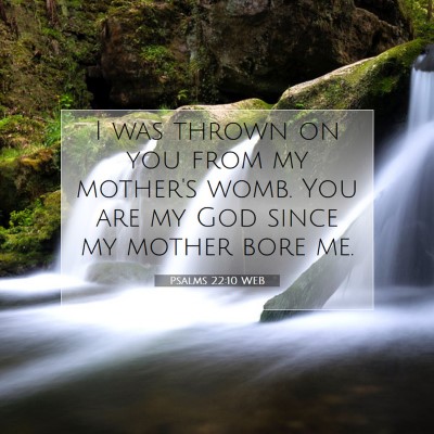 Picture 07 - Psalms 22:10 WEB - I was thrown on you from my mother's womb. You - Bible Verse Picture