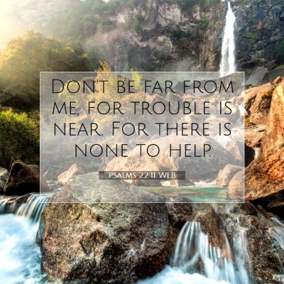 Picture 07 - Psalms 22:11 WEB - Don't be far from me, for trouble is near. For - Bible Verse Picture