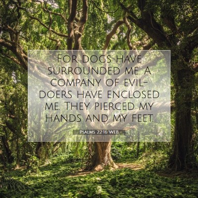Picture 07 - Psalms 22:16 WEB - For dogs have surrounded me. A company of - Bible Verse Picture